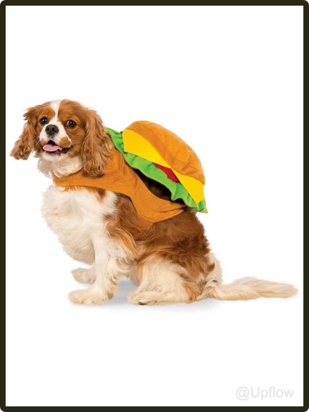 Pet Cheeseburger Costume for Dogs Cats Tunic Hook and Loop Strap